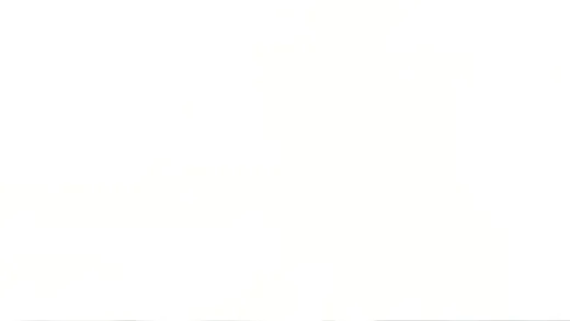 E333