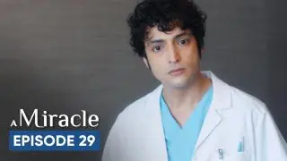 Episode 29
