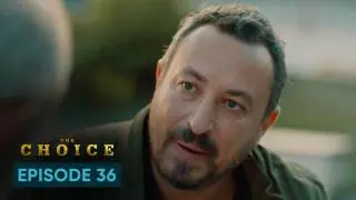 Episode 36