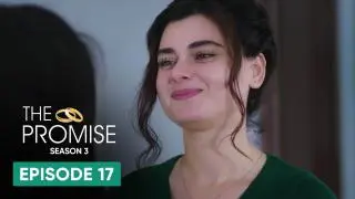 Episode 17