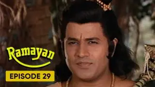 Episode 29