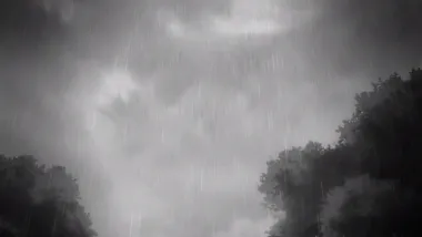 E6.Mold Library Vision