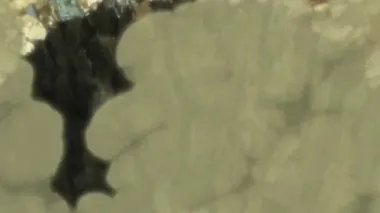 E435.Order of Priority