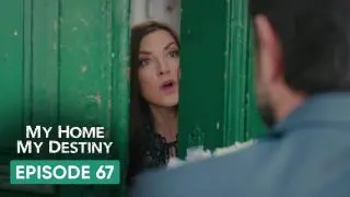 Episode 67