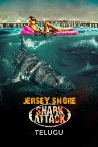 Jersey Shore Shark Attack
