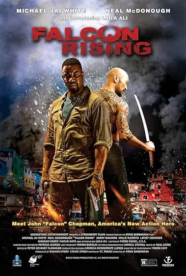 Movie Poster: Falcon Rising