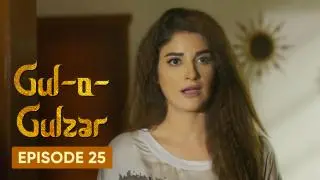 Episode 25