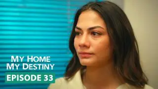 Episode 33