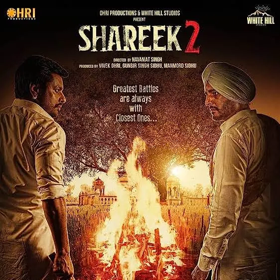 Movie Poster: Shareek 2