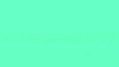 E25.BL4Z3