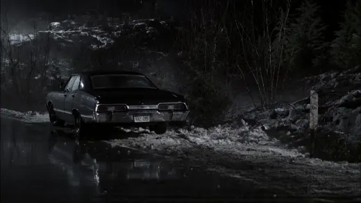E16.Roadkill
